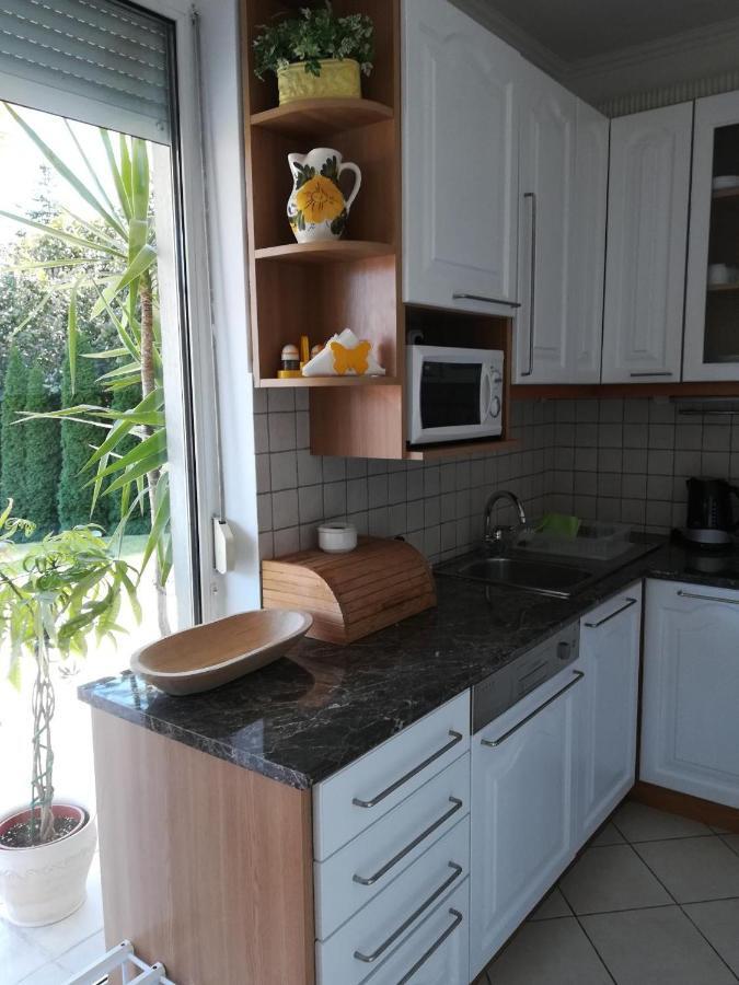 Homy Apartment In Buda, With Safe Garage And Terrace ブダペスト エクステリア 写真
